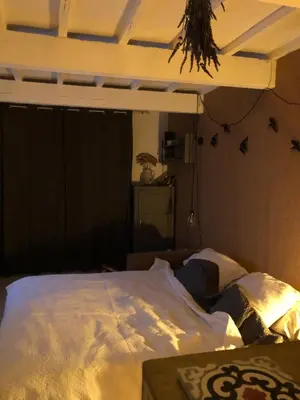 a bedroom with a bed with white sheets and a ceiling at Luberon Provence Swimming pool Terrace View for 2 in Viens