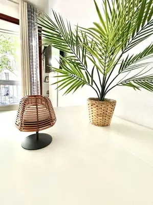 a plant in a basket sitting on a table at Studio Lumineux avec Terrasse in Aix-en-Provence