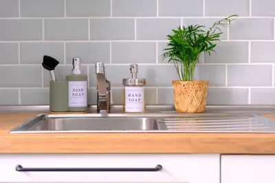 a kitchen sink with bottles of soap and a plant at Studio rénové avec belle terrasse in Aix-en-Provence