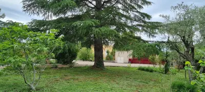 a tree in the middle of a yard at La Passiflore in Mazan