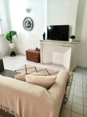 a living room with a couch and a fireplace at Le Tanneur- Grand Studio 38m2 en centre-ville in Aix-en-Provence