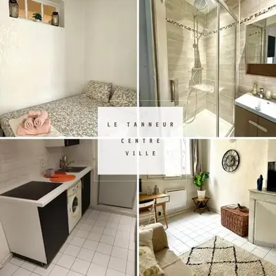 Le Tanneur- Grand Studio 38m2 en centre-ville