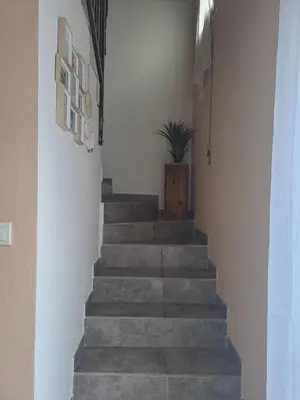 a staircase in a house with a potted plant at Jolie petite maison tout proche d avignon in Vedène