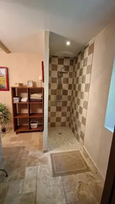 a bathroom with a shower with a tile wall at La maison de Campagne - RENDEZ-VOUS EN PROVENCE in Monteux