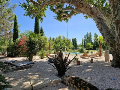 a garden with a tree and a swimming pool at La maison de Campagne - RENDEZ-VOUS EN PROVENCE in Monteux