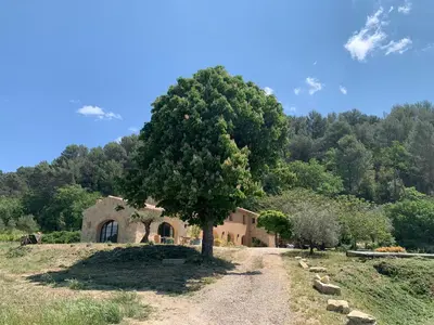 a tree in a field next to a house at Côté Ansouis in Ansouis