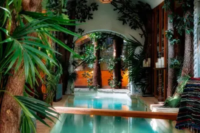 a swimming pool in a house with plants at L'unique in Goult