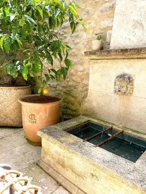 a stone fountain with a potted tree in it at La Cigalou - Bonnieux Centre in Bonnieux