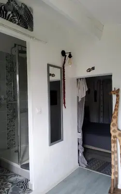 a bathroom with a giraffe standing next to a mirror at Le Mazet des Beaujots in Monteux