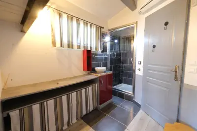 a bathroom with a sink and a shower at Air-conditioned house with heated pool, Luberon, in Maubec – 6 people in Maubec