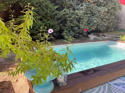 a potted plant sitting next to a swimming pool at Bastide de la Couloubre in Mallemort