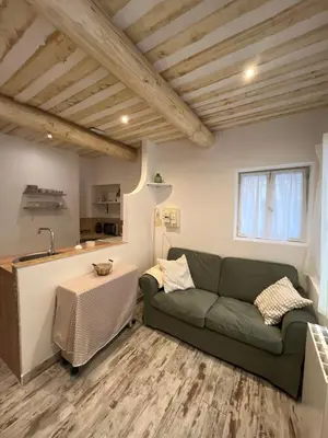 a living room with a green couch and a table at Le cocon d Elsa in LʼIsle-sur-la-Sorgue