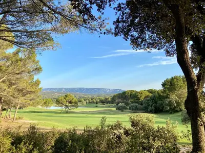 a view of a golf course with a tree at Gîte Confortable Vue Exceptionnelle - Golf de Saumane in Saumane-de-Vaucluse