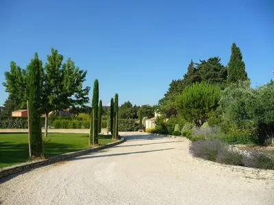 a driveway with cypress trees and a garden at Gite de charme avec piscine dans le Luberon in Cavaillon