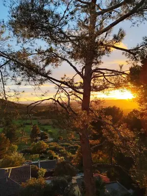 a sunset seen through a tree in the foreground at Villa Le Mas des Roches à 15mn airport Marseille in Velaux
