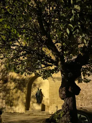 a statue of a man standing next to a tree at Inspiration maison entière avec jardin in Pernes-les-Fontaines