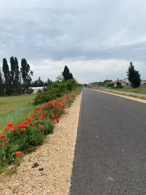 an empty road with red flowers on the side at Inspiration maison entière avec jardin in Pernes-les-Fontaines
