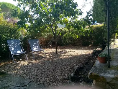 two chairs sitting in the shade under a tree at la bastide aux buis avec piscine in Blauvac