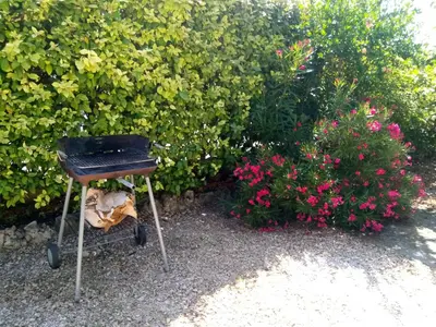 a black grill sitting in front of some flowers at la bastide aux buis avec piscine in Blauvac