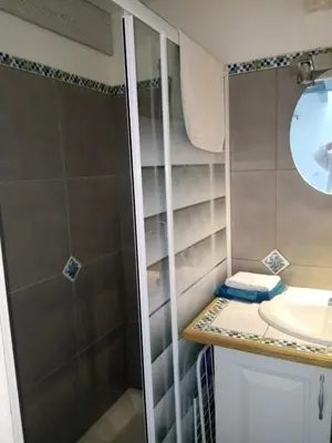 a bathroom with a shower and a sink at la bastide aux buis avec piscine in Blauvac