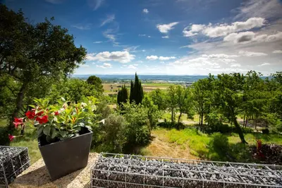 a view of a garden with flowers in a pot at Domaine de la Mautanne in Sainte-Tulle