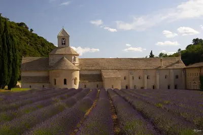 a large building with lavender fields in front of it at Studio dans le Luberon in Céreste