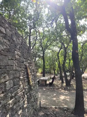 a stone wall with a bench next to a tree at Borie en Provence in Velleron