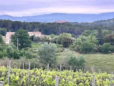 a field of vines with a house in the background at Les Cachots in Roussillon