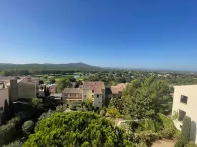 an aerial view of a town with houses and trees at Petit cocon en Provence in Mallemort