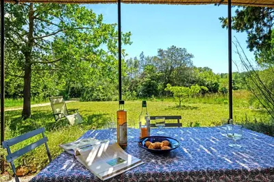 a table with a bowl of fruit and a bottle of wine at Mas de l'Aube in Mouriès