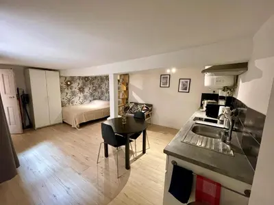 a kitchen and living room with a sink and a table at Studio Tout confort Centre historique rue calme Climatisation in Aix-en-Provence