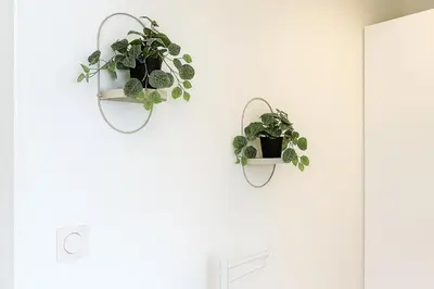 two potted plants hanging on a white wall at Maison moderne jardin piscine et parking prives, près d'Aix Centre in Venelles