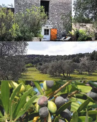 two pictures of a garden with trees and a building at Les Oliviers in Caumont-sur-Durance