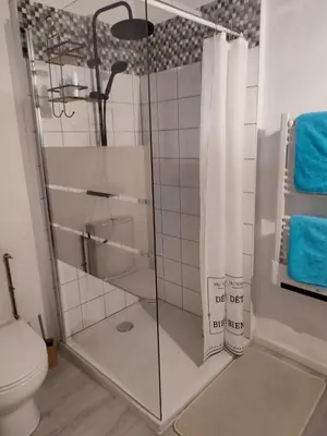 a bathroom with a glass shower with a toilet at Les Oliviers in Caumont-sur-Durance