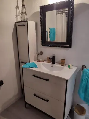 a bathroom with a sink and a mirror at Les Oliviers in Caumont-sur-Durance