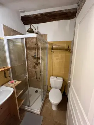 a bathroom with a shower and a toilet and a sink at Chez Dragos centre ville Lauris in Lauris