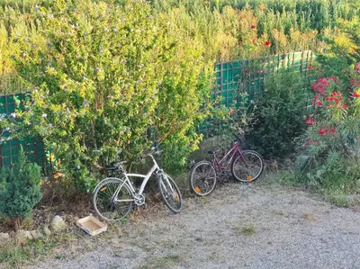 three bikes parked next to a tree in a garden at Chambre de 2 personnes dans Mas de Lubéron in Robion en Luberon