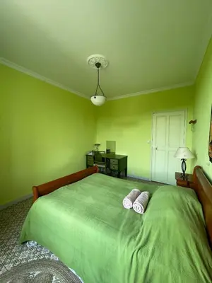 a green bedroom with a large bed with two pillows at Chambre de 2 personnes dans Mas de Lubéron in Robion en Luberon
