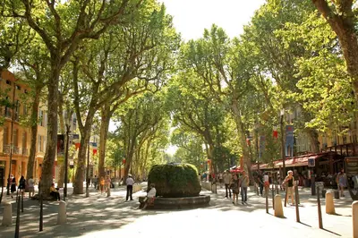 a tree lined street with a fountain in the middle of a city at Studio Coconing Aix-en-Provence in Aix-en-Provence