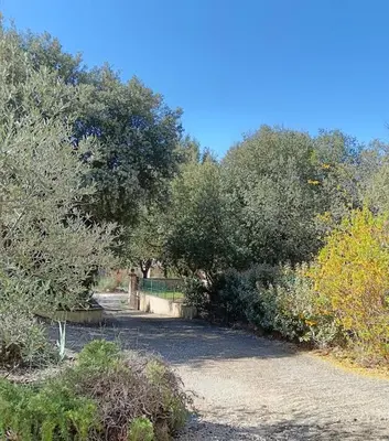 a group of trees and bushes on a dirt road at Maison de vacances avec piscine privative, Oustau des Oliviers vue dominante Colorado provençal in Rustrel