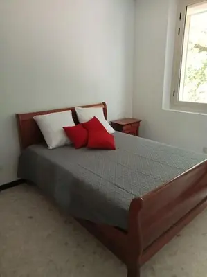 a bedroom with a bed with red pillows and a window at La garenne basse chez Sylvie in Saint-Didier