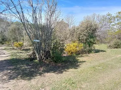 a tree with a sign in the middle of a field at La garenne basse chez Sylvie in Saint-Didier