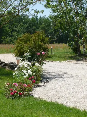 a gravel driveway with flowers in the grass at Le Mas Saint Jacques in Crillon-le-Brave