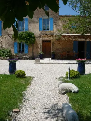 a house with blue windows and a gravel driveway at Le Mas Saint Jacques in Crillon-le-Brave