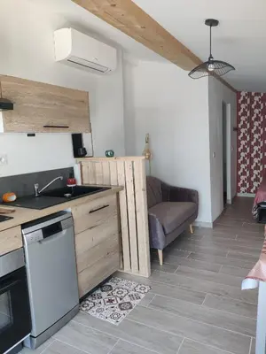 a kitchen with a sink and a couch in a room at Gite l'épinette in Saint-Saturnin-les-Apt