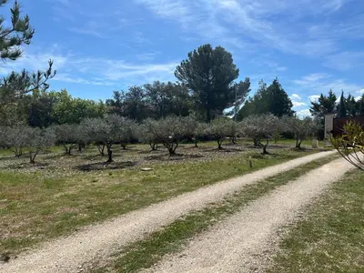 a dirt road next to a field with trees at Gîte Lavande Luberon in Saint-Saturnin-les-Apt
