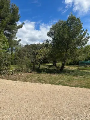 a field with trees and a gravel road at Gîte Lavande Luberon in Saint-Saturnin-les-Apt