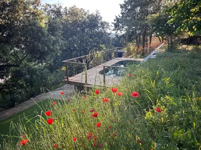 a wooden bridge over a field of red flowers at Casa Lub in Apt