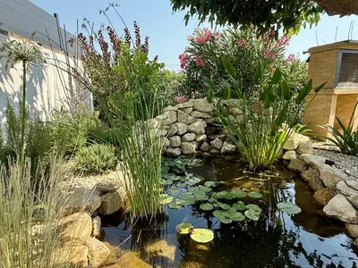 a garden with a pond with lilies and plants at Une nuit en Luberon et SPA in Puyvert
