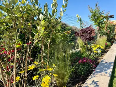 a garden with many different types of flowers at Une nuit en Luberon et SPA in Puyvert